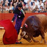 Al Alimón: El "extraordinario" momento de Morante y el motivo por el que "es un verdadero genio"