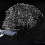 346E-369-Finding Treasure