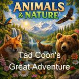 Tad Coon's Great Adventure - John Breck