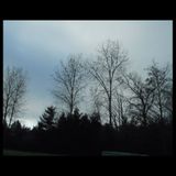 Woodchips, Wandering Thoughts