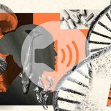 Audio long read_ Could mending damaged DNA prolong life_(MP3_128K)