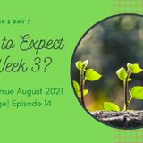 Episode 14-Reset to Pursue Week 2_ Searching for Good Soil