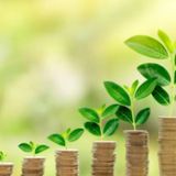 Get rich using depth