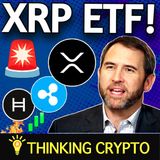 🚨BULLISH XRP NEWS! BITWISE FILES FOR XRP ETF & RIPPLE DUBAI LICENSE - HBAR TRUST