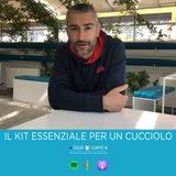 #5 - Kit cucciolo