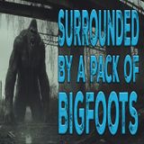 Bigfoot Pack Surrounds Marines