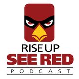 Texas Tech P Austin McNamara talks NFL draft prep, Cardinals local pro day