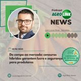 Fretes de grãos caem com alta oferta e demanda ajustada