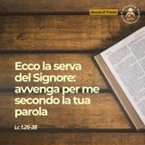 8 dicembre - Solennità dell'Immacolata concezione della B.V. Maria - Eccomi