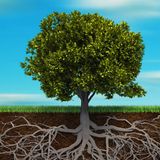 The Root of the Matter