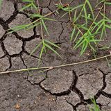 Così possiamo prevedere l'impatto del clima sui microbi del suolo