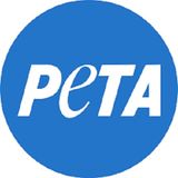 Amber Canavan of PETA discusses vegan egg options on Conversations LIVE