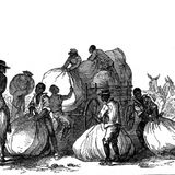 Schiavitù: significato e storia dello schiavismo nel mondo