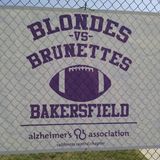 The 5th Annual Blondes Vs. Brunettes Game
