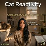 Cat Reactivity - Decode the triggers with Juniper Snout