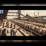 German POWs Saw Chicago's Stockyards… America Left Them Stunned | WWII Audiobook