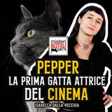 Pepper, la prima gatta attrice del cinema