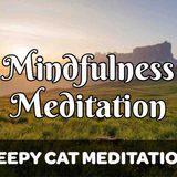 Guided Mindfulness Meditation for Calmness _ Clarity (Reduce Anxiety)