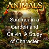Summer in a Garden and Calvin A Study of Character - Charles Dudley Warner