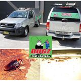Sylvania Waters Pest Control – Bugz Pest Control Since 1998