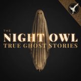 Announcement: A Night Owl Pause