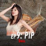 9 - Pip the Snail
