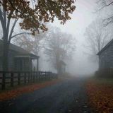 4 Scary TRUE Fall Horror Stories