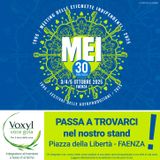 Voxyl Voce Gola al "MEI" 2025 di Faenza