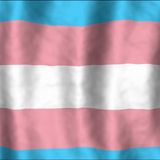 The "Transgender" Discussion With The Daily Signal's Tyler O'Neil - Part 2