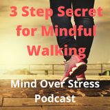 3 Step Secret for Mindful Walking