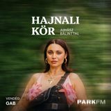 GAB: A majdnem kész dalokkal több munka van, mint nulláról megírni egy újat | Park FM – Hajnali Kör