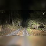 15 Appalachian Mountain Encounters Hikers Still Can't Explain