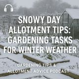 🎧 Snowy Day Allotment Tips: Gardening Tasks for Winter Weather | Gardening Tips & Allotment Advice Podcast