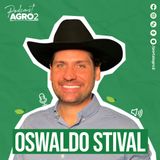 Tifton 85: pastagem de alta produção e sustentabilidade na pecuária #407