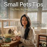 Small Pets Tips - Discover the secrets to happy, healthy companions with Juniper Snout