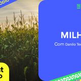 Milho: USDA eleva exportações, Chicago estável e reação nos preços | BBcast Agro-13/02/2026