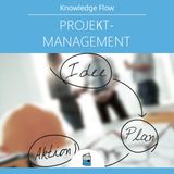 Projektmanagement: Investitionsplanung, Projektanalyse, Planung, Steuerung und Projektreview