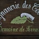 "La magnanerie des Cévennes" avec Adeline (Part2)