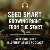 🎧 Seed Smart: Growing Right from the Start | Gardening Tips & Allotment Advice Podcast