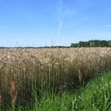 La Danimarca ha mappato l’intero microbioma del suo suolo