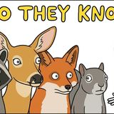 Do Wild Animals Know When a Human Is Helping Them_