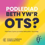 Croeso i Beth yw’r Ots