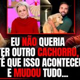 MATARAM MEU CACHORRO E NÃO ME DERAM CHANCE DE DESPEDIR DELE - CASO GOLDEN JOCA