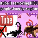 Gas pump schemes curse of the mummy_500 people stung by scorpions in Egypt