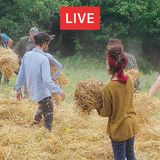 L'orto naturale con Kutluhan Ödzemir