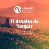 O desafio de Sangar- Luiz Santos - Juízes 3:31