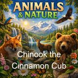 Chinook the Cinnamon Cub - Allen Chaffee