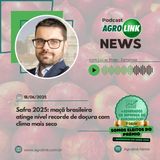 Goiás bate recorde no abate de bovinos no 1º trimestre de 2025