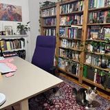 Hour Study with Me   cozy room   No Music #studywithme #benimleçalış