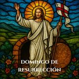 Domingo de Resurrección - Evangelio y Homilía 🌄 Padre Brandon Hernández | Semana Santa con Tele VID